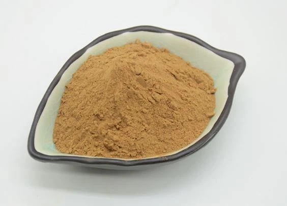 Portulaca extract powder by Botanical Cube Inc. Portulaca extract powder by Botanical Cube Inc.