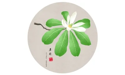 کیا Honokiol پاؤڈر نیند میں مدد کرتا ہے؟