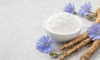گٹ ہیلتھ سپلیمنٹس کے لیے Chicory Inulin کا انتخاب کیسے کریں؟