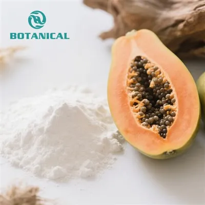پاپین پاؤڈر